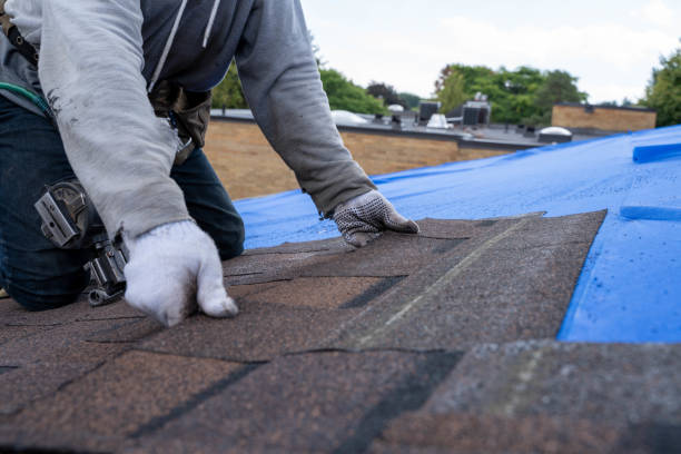 Best Roof Maintenance Services  in Logan, WV