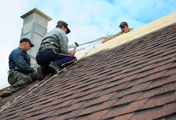 Best Best Roofing Contractors  in Logan, WV